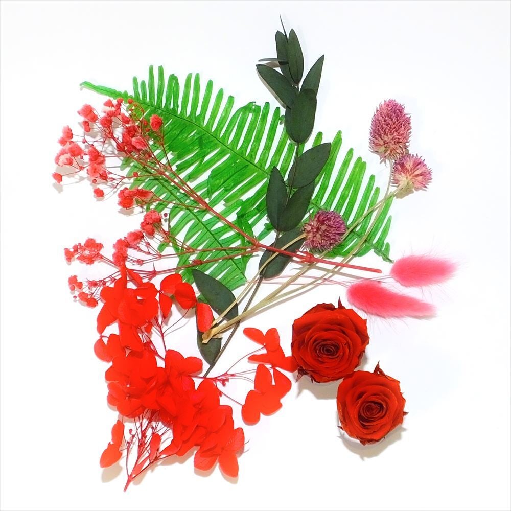 大地農園 ビビアン・カラーアソート ピンクミックス プリザーブド